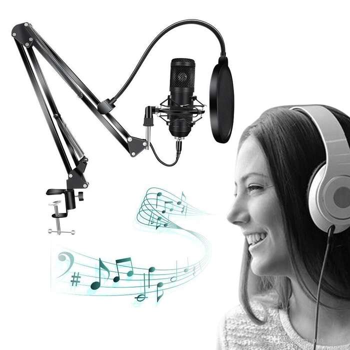 Professional Condenser Microphone M-800U