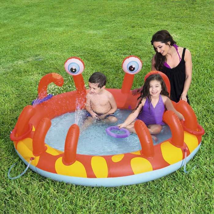 Interactive Crab Play Pool