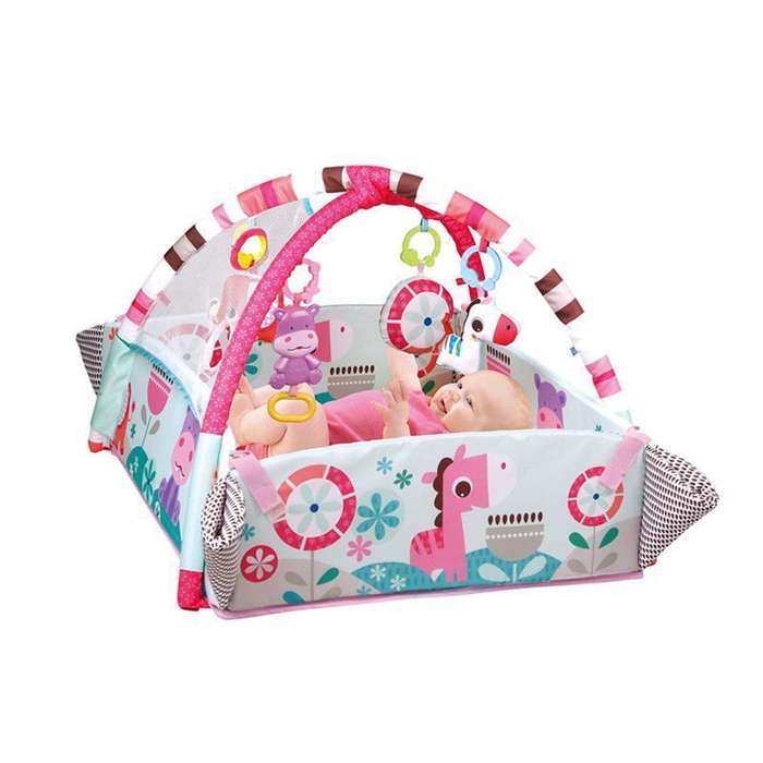 Activity 5-in-1 Gym Play Mat & Ball Pit - PINK
