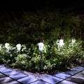 Stainless steel Solar floor lamp 10pcs Solar Light Set  (Floor Mount Pack of 1)