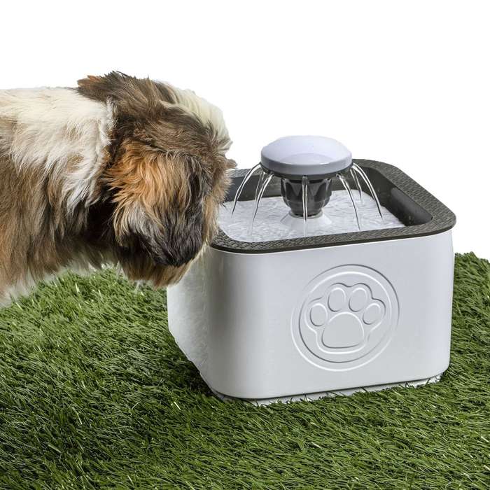 Dog and Cat Water Fountain