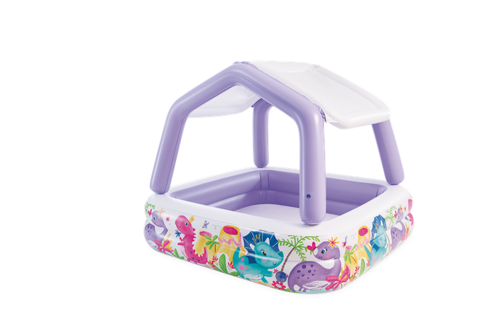 Intex Sun Shade Pool