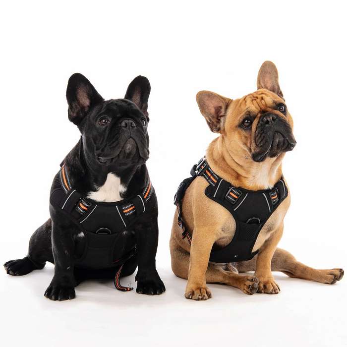 M-Pets Doggie Hiking Harness
