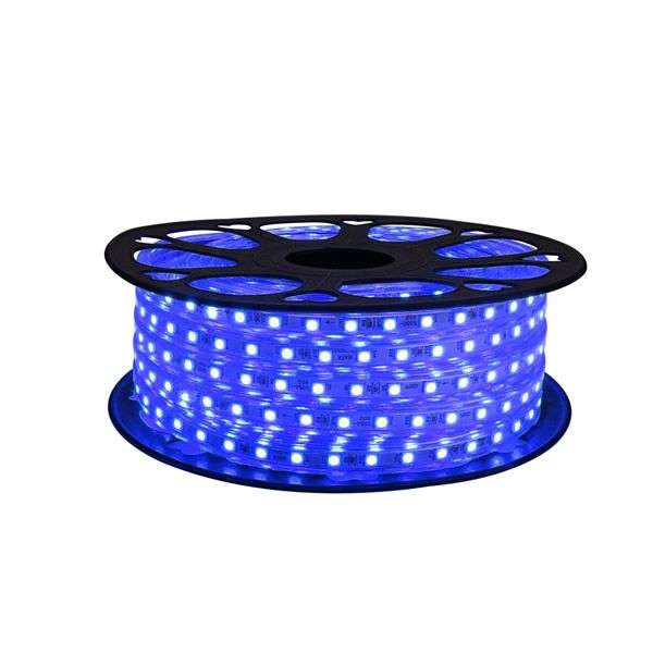 Blue Strip LED Light 5050 -100M