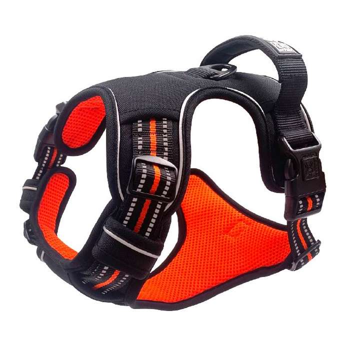 M-Pets Doggie Hiking Harness