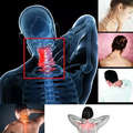 Seat Massager, Vibrating Back Massager for Chair Massage Cushion