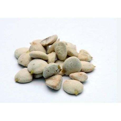 Original Indian Detoxing Weight Loss & Detox Nuts (12 Nuts)