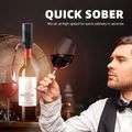 Electric Wine Aerator Pourer Automatic Wine Bottle Dispenser Decanter
