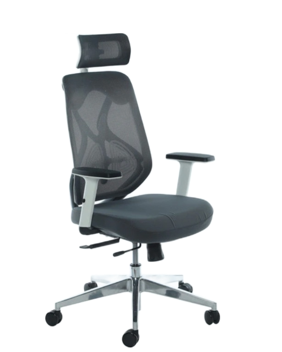 Office Chairs - Ergonomic Executive Mesh with Headrest
