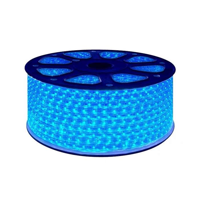 Blue Strip LED Light 5050 -100M