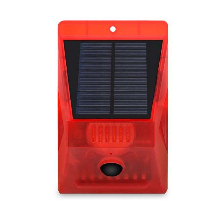 solar alarm lamb
