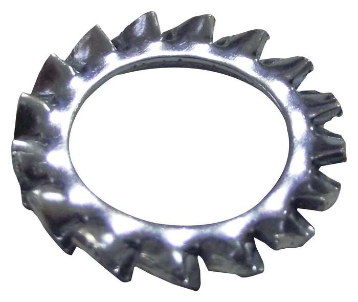 TR Fastenings (DM2.5-FEST-Z100DIN6798) Washer, Shakeproof