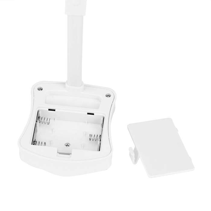 Led Toilet Light