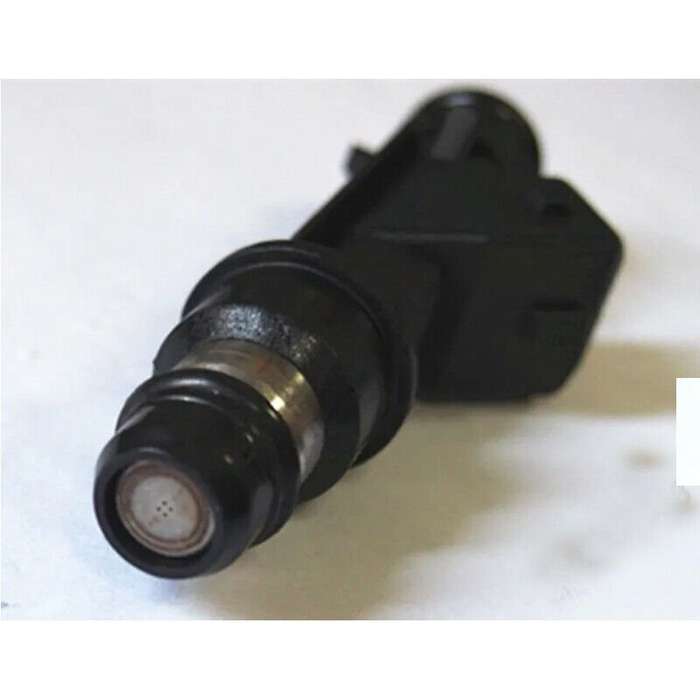 Compatible with Opel Astra/Corsa/Meriva/Vectra ou Zafira DELPHI Fuel Injector