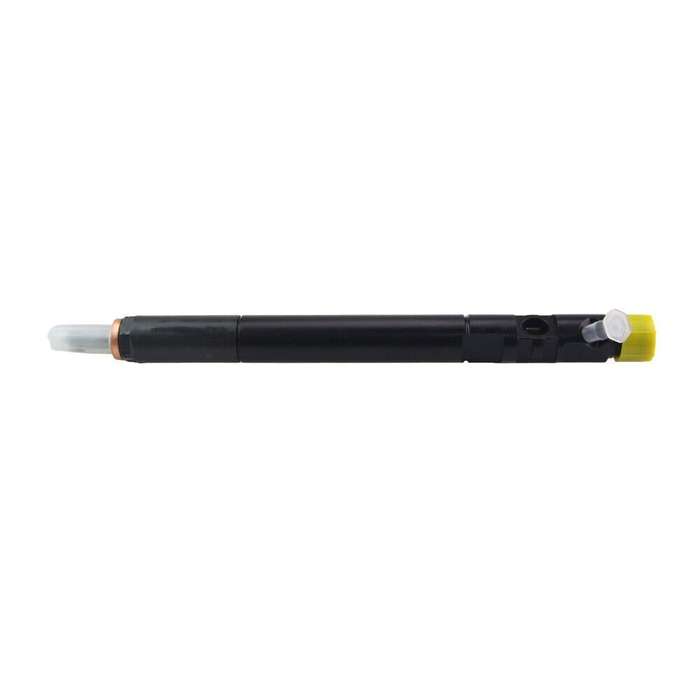 Compatible with Delphi Ssangyong Actyon Kyron 2.0L Xdi Fuel Injector A6640170221