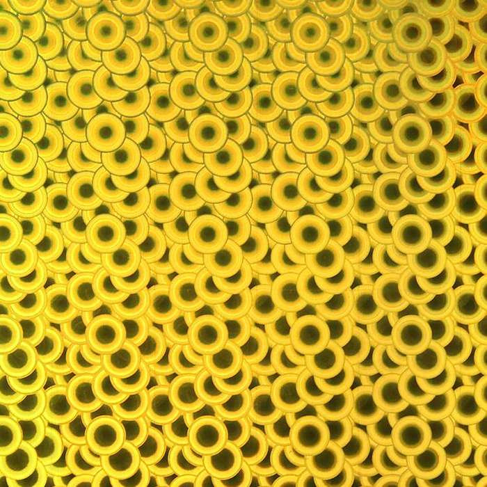 Holographic Bubble self adhesive craft sticker vinyl -Gold