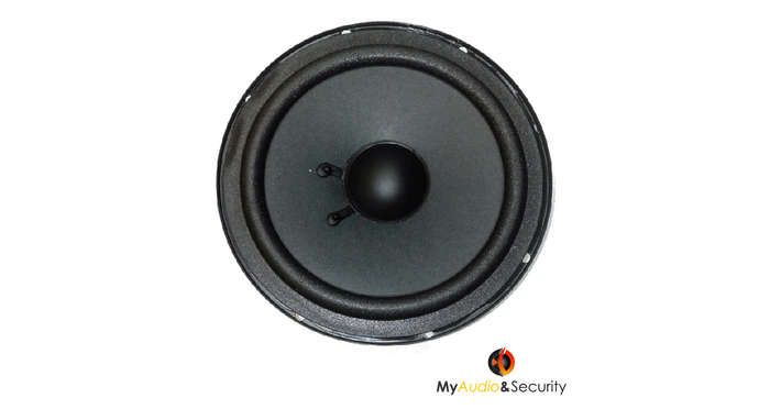 Blackspider MFN650SE 6" 80W Trade Speaker