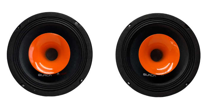 Blackspider BS-S1695PRO 6" 2000W Pro Speaker