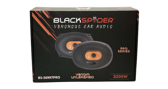 Black Spider BS-S6997PRO 6X9" 3200W 650W Speakers
