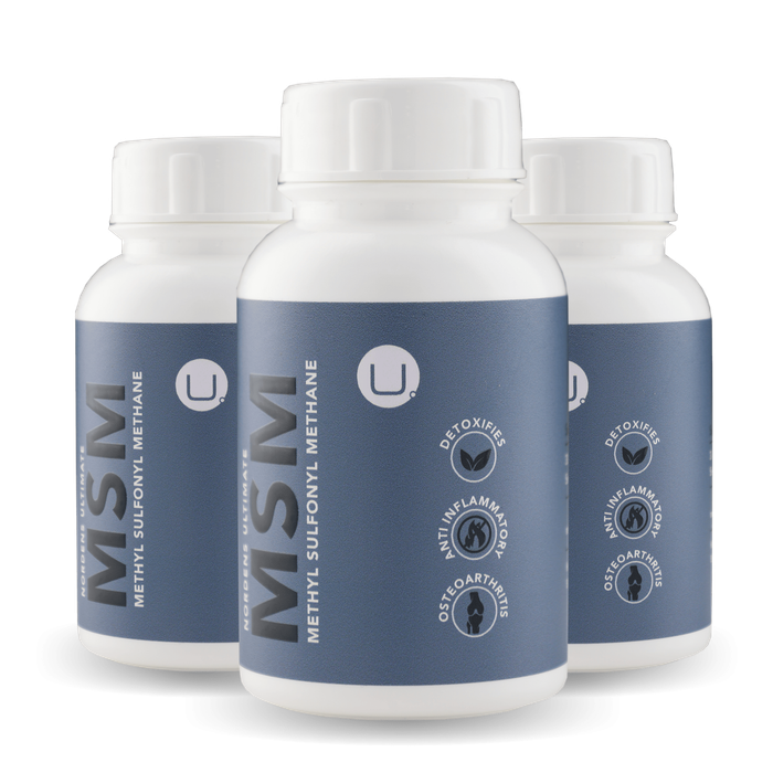 MSM 90 Caps - 3 Pack