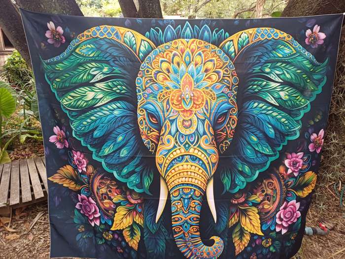 Digital Prints / Tapestry