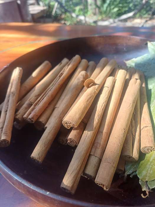Ceylon Cinnamon 30 Grams. 5 Quills