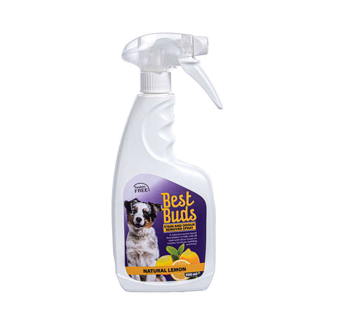 Stain & Odor Removal Spray for Dog - Natural Lemon - 500ml - 2 Pack