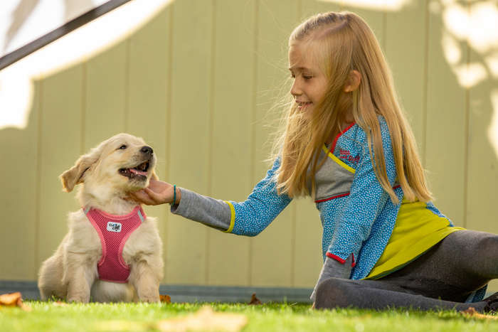 Curli Red Comfort Vest - Air-Mesh for Small Dogs