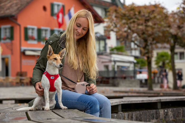 Curli Red Comfort Vest - Air-Mesh for Small Dogs