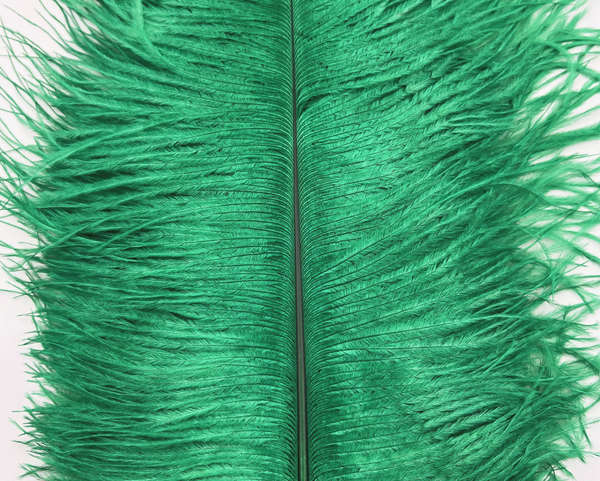 Decorative Ostrich Feathers (41-49cm) - Emerald Green - Set of 5