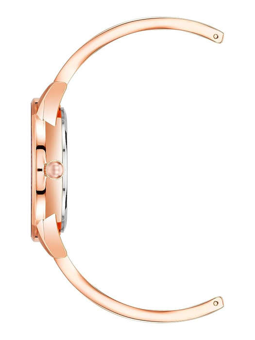 Anne Klein Bangle Watch Rose