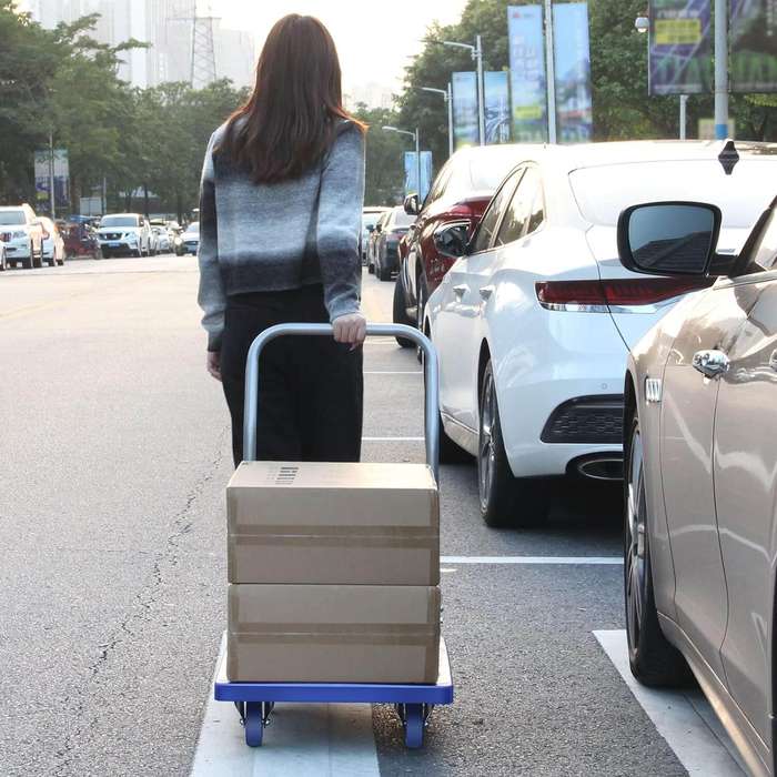 100kg Heavy Weight King Single Platform Trolley 48x68cm