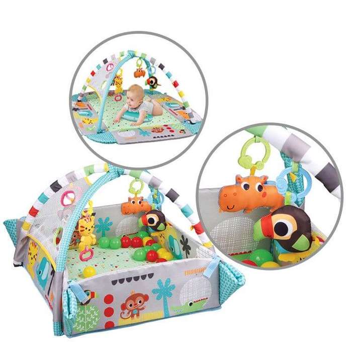 5 in 1 Activity Gym and Ball Pit