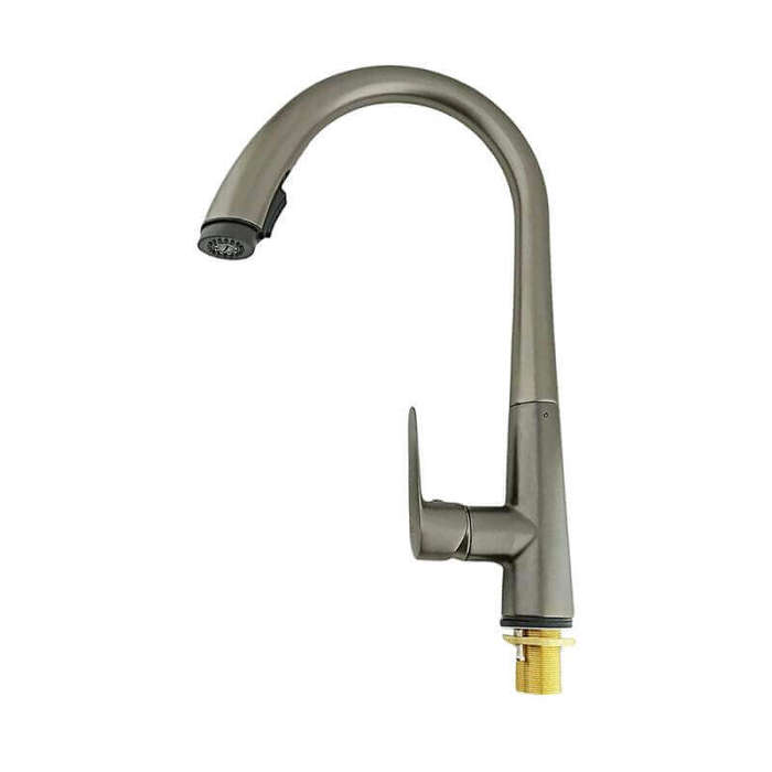 Kitchen Faucet with Pull Out Spray