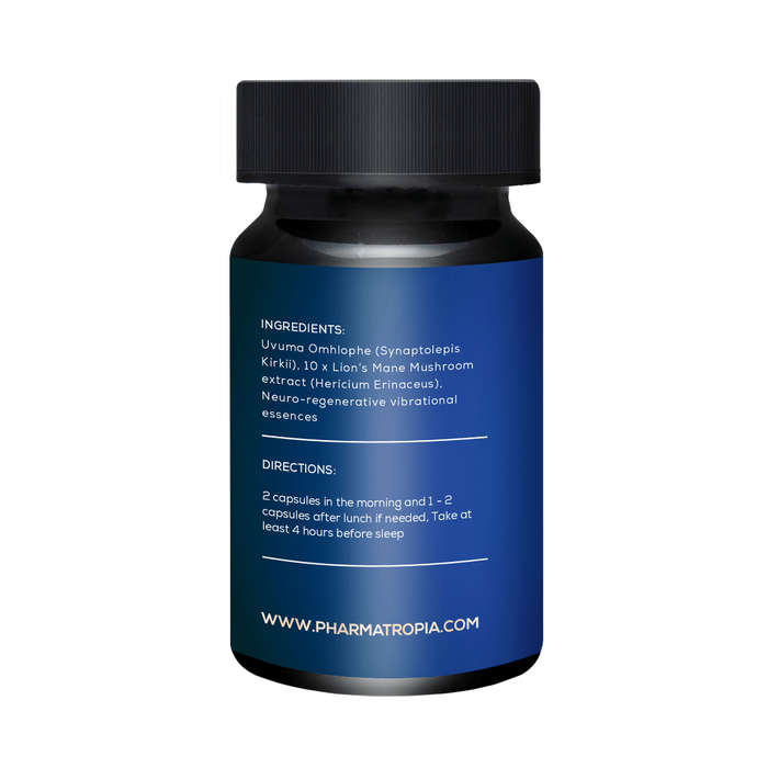 Neuro Repair Capsules (60) Synaptolepis Kirkii, Lions Mane Extract (10:1)