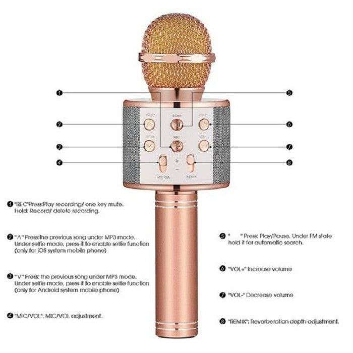 Wireless Portable Bluetooth Karaoke Microphone  All-in-One