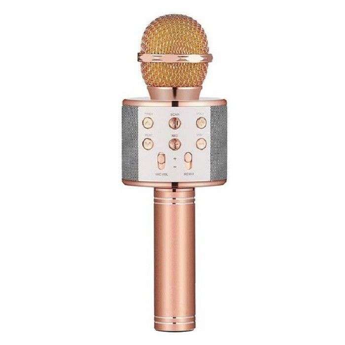 Wireless Portable Bluetooth Karaoke Microphone  All-in-One