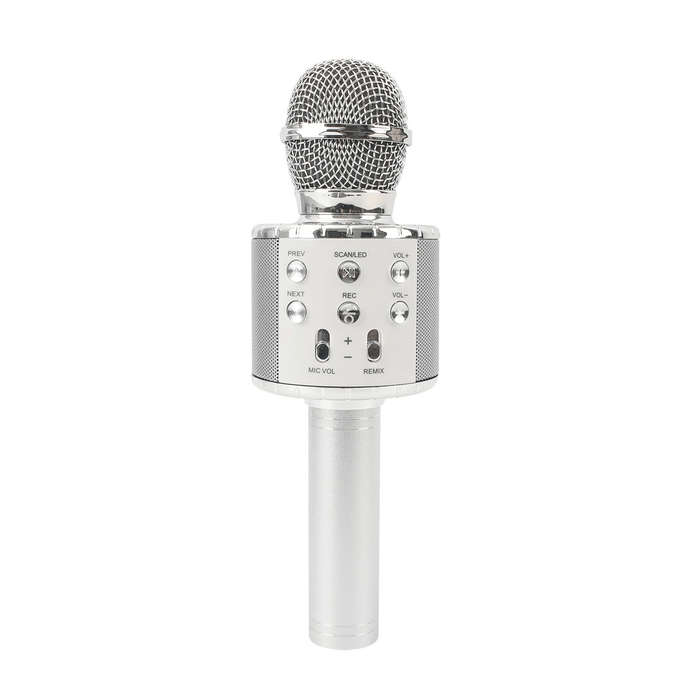 Wireless Portable Bluetooth Karaoke Microphone  All-in-One
