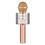 Wireless Portable Bluetooth Karaoke Microphone  All-in-One