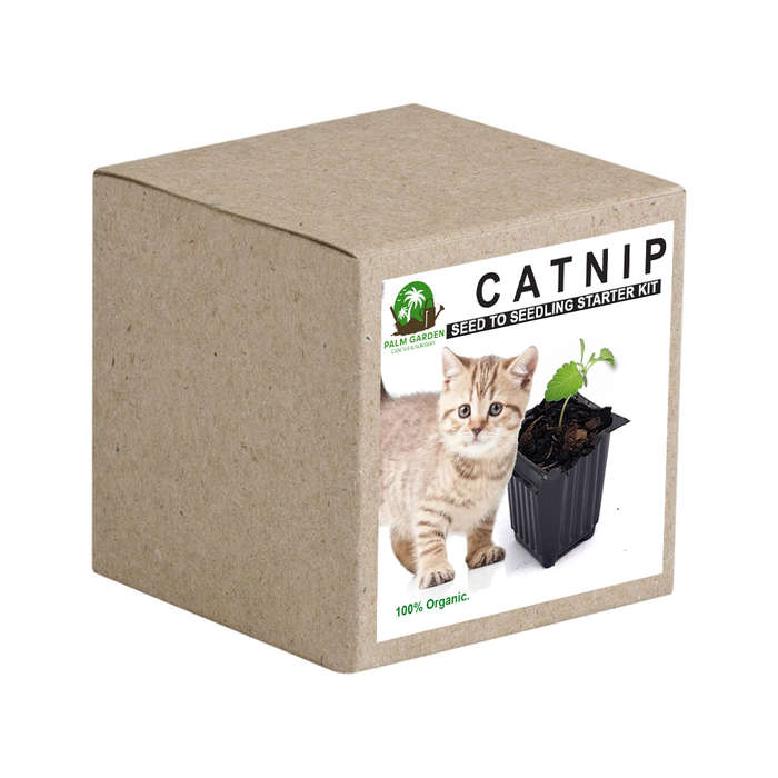 Palm Gardens Cat Nip Plant Seed To Catnip Seedling Home Grow Starter Kit