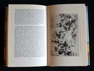 Karl Mauch African Explorer - Edited and translated by F. O. Berhard - 1400g