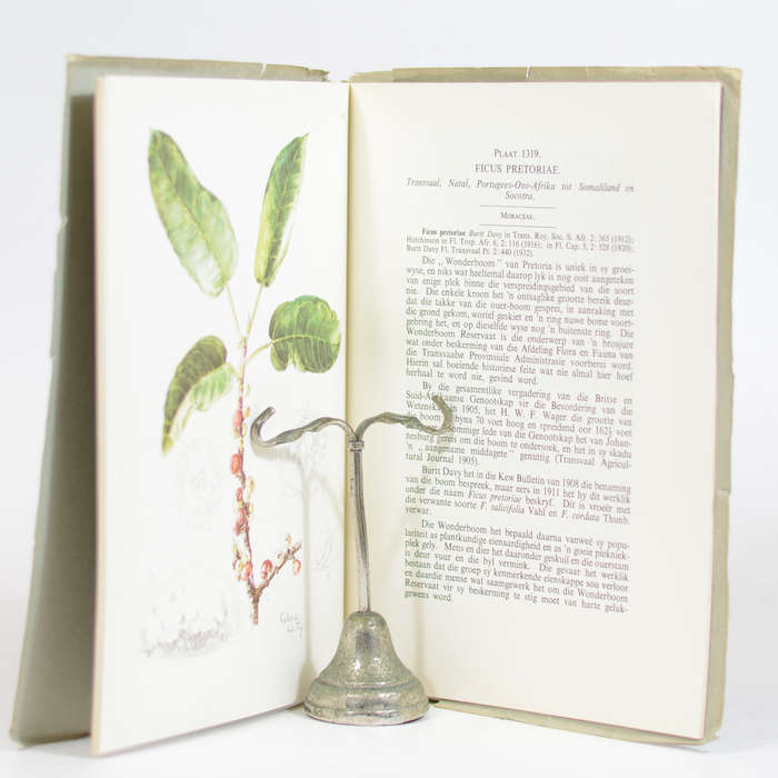 Die Blomplante van Afrika. No. 132, Vol.33. Deel 4 Vir Oktober 1959 - Dyer, R. Allen