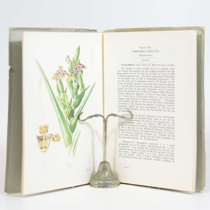 Die Blomplante van Afrika. No. 132, Vol.33. Deel 4 Vir Oktober 1959 - Dyer, R. Allen