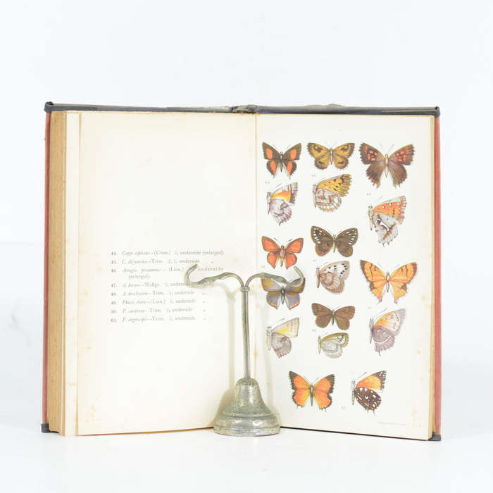 South African Butterflies. A monograph of the family Lycaenidae. - Murray, Desmond P