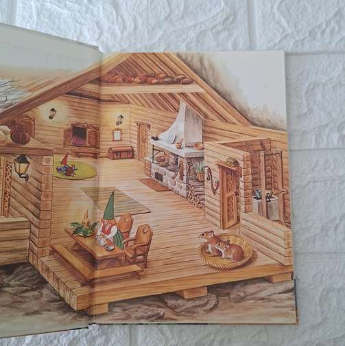 The Secret book of the Gnomes vol 17
