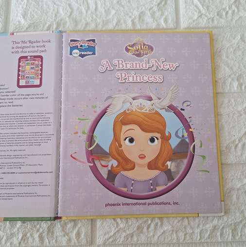 The Perfect Party/ A Brand New Princess - Sofia the First