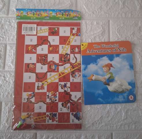 The Wonderful Adventures of Nils - Kids