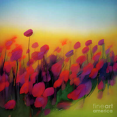 Poppies [d]