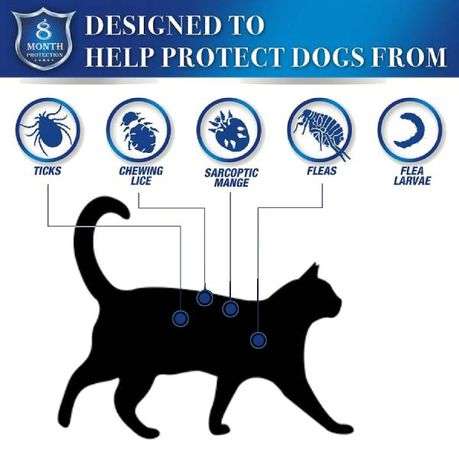 Cat Flea and Tick Collar - Adjustable Flea Collar for Cats - Tick Collar