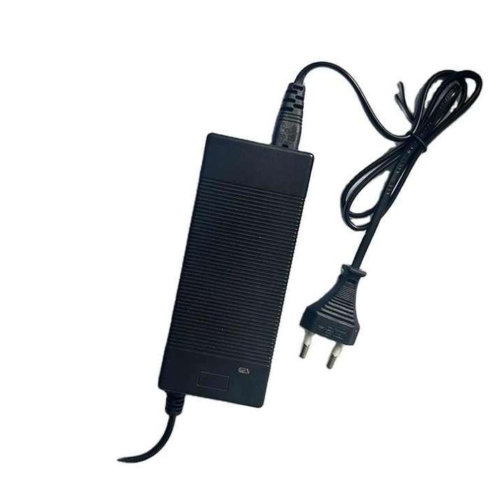 Hoverboard Charger